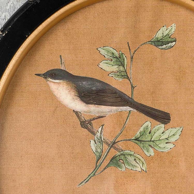 Картина-принт диптих Птицы Филомены Set Of 2 Oval Frames With Birds Philomene