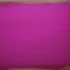 тополь Rose Indien