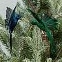 Набор из 2-х ёлочных игрушек Set Of 2 Plume Fly Hummingbirds On Clip Green Blue 13 cm