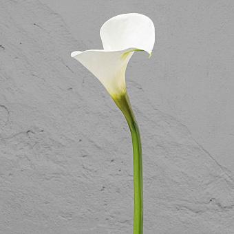 Calla White Large 83 cm