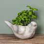 Кашпо Flower Pot Bird