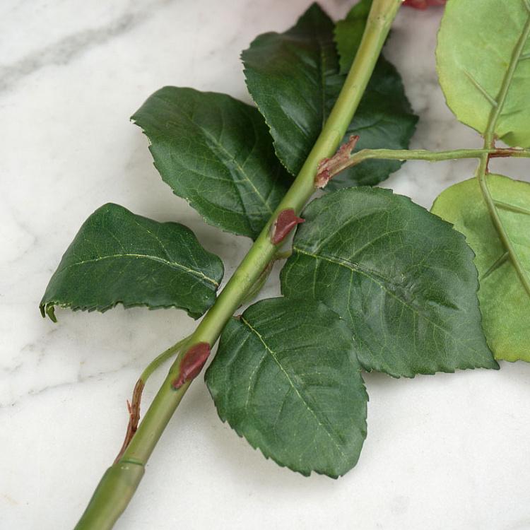 Искусственная роза Джема тёмная фуксия Gemma Rose Dark Fuchsia 56 cm