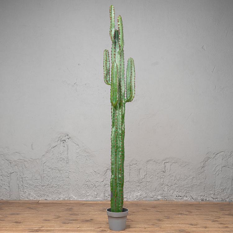 Искусственный кактус Цериус Мексиканский Cereus Mexican Cactus 200 cm
