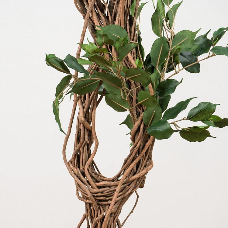 Искусственный фикус Бенджамина Селеста, L Celeste Ficus Benjamina 180 cm