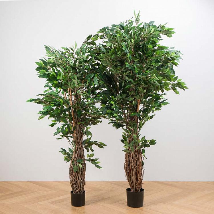 Искусственный фикус Лиана Де люкс, L De Luxe Ficus Liana 180 cm