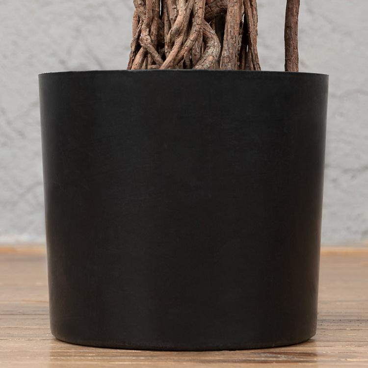 Искусственный фикус Бенджамина Селеста Celeste Ficus Benjamina 210 cm