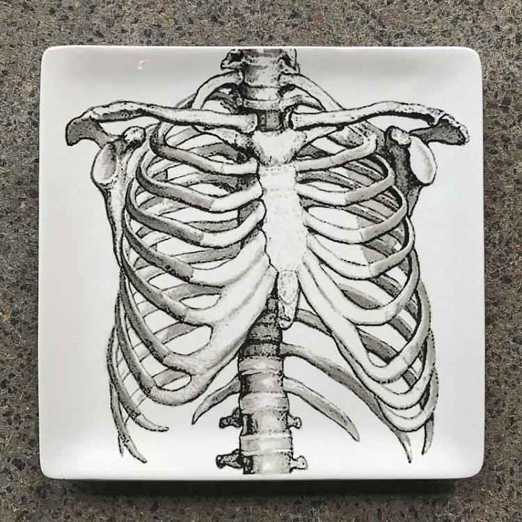 Набор из трёх тарелок Скелет Set Of 3 Plates Sciences Nat