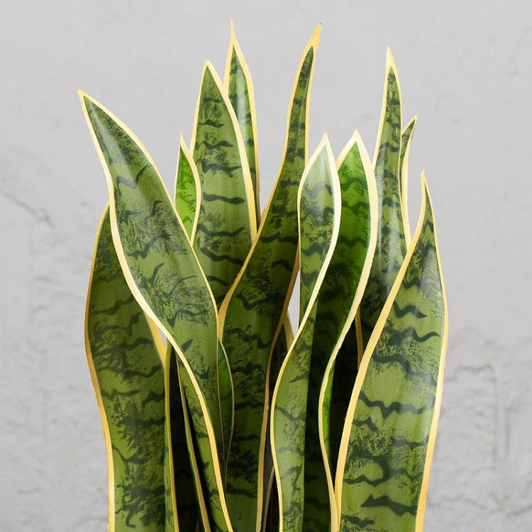 Искусственный куст сансевиерии Sansevieria Bush 80 cm