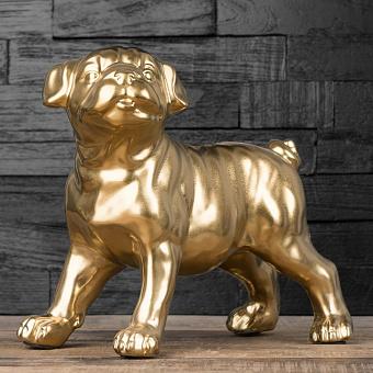 Golden Pug