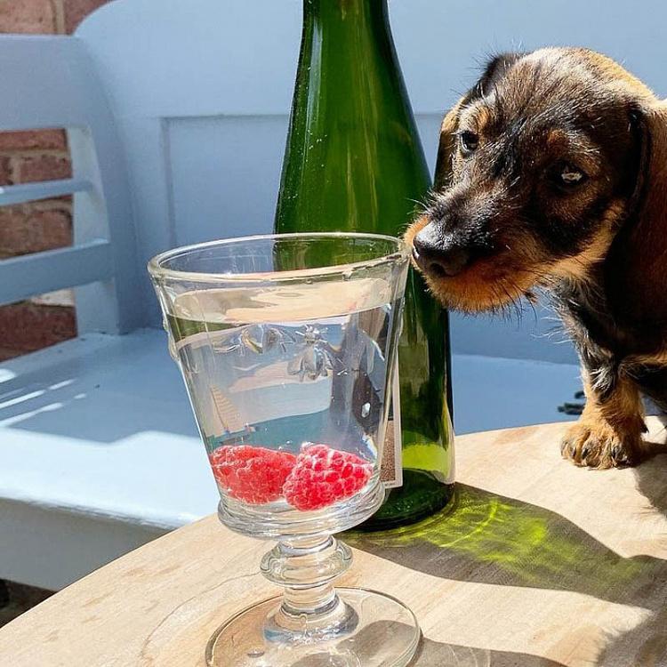 Бокал Пчёлы Abeille Wine Glass