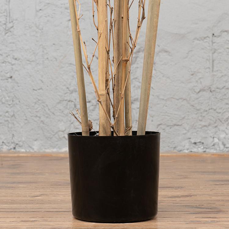 Искусственный бамбук Японский ориенталь, L Japanese Oriental Bamboo 180 cm