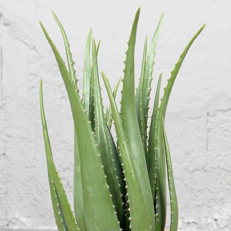 Искусственное алоэ Aloe 67 cm