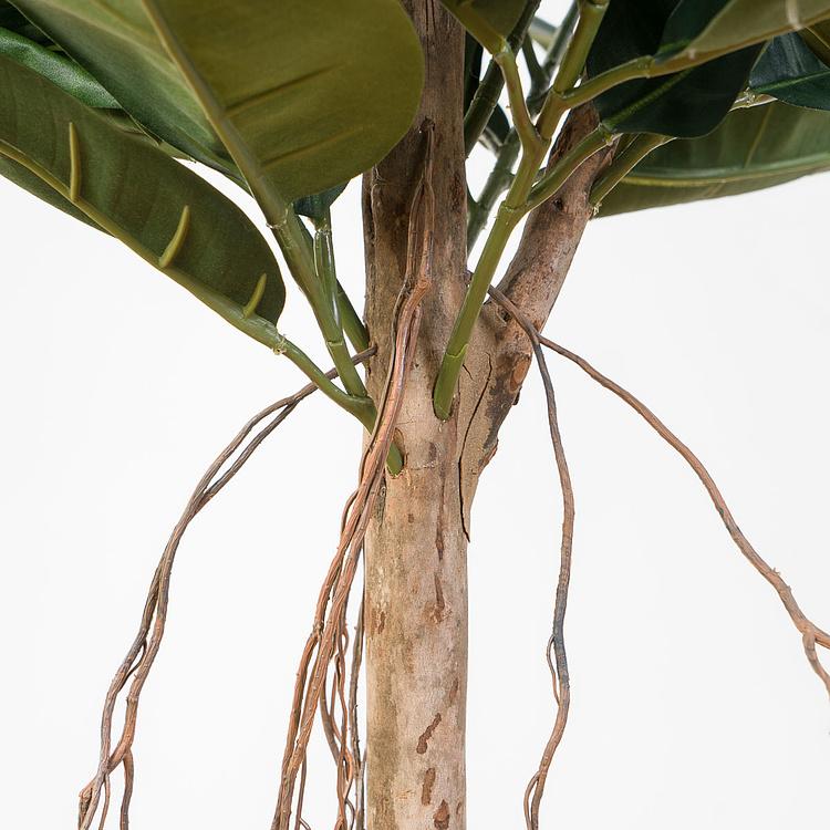 Искусственный фикус Эластика, L Elastica Ficus Tree 180 cm
