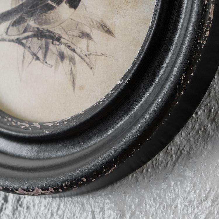 Картина-принт в круглой раме Угольные синицы Mesange Charbonnieres Cadre Rond