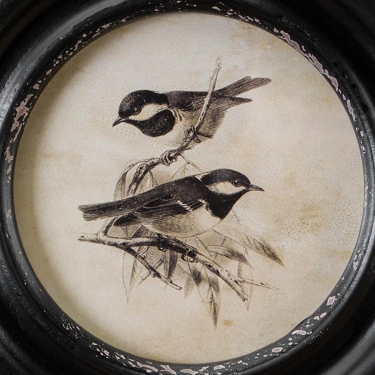 Картина-принт в круглой раме Угольные синицы Mesange Charbonnieres Cadre Rond