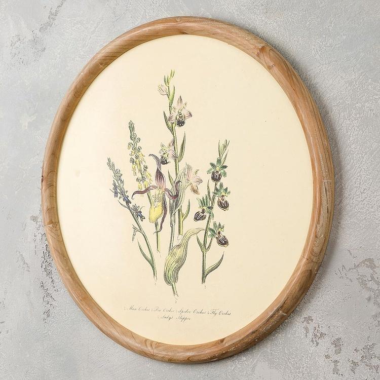 Набор из четырёх картин Флора Set Of 4 Round Frame Prints Flora