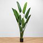 Искусственное растение Style Strelitzia 180 cm