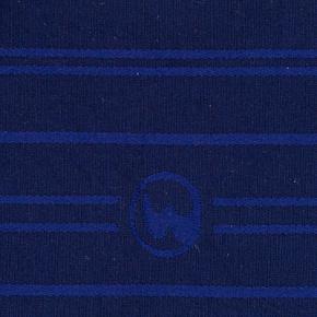 ткань Blue Jacquard