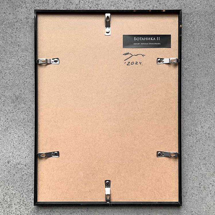 Фотография в рамке Ботаника 2 Botany 2 Photo