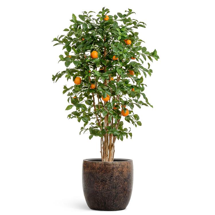 Кашпо-чаша Эффектори Металл золотая патина, L Effectory Metal Bowl Pot Rough Gold Patina Large