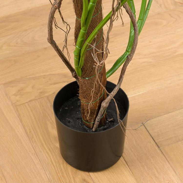 Искусственное растение монстера на стволе, L Monstera Tree Trunk 205 cm