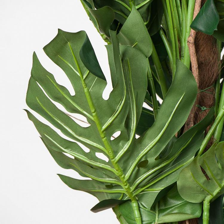 Искусственная монстера на стволе Monstera Tree Trunk 150 cm