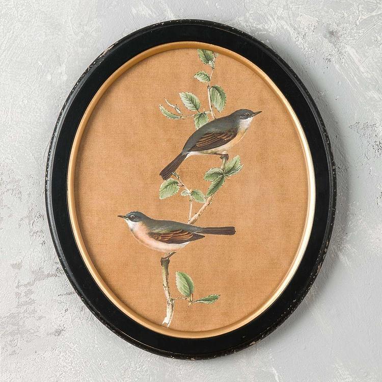 Картина-принт диптих Птицы Филомены Set Of 2 Oval Frames With Birds Philomene