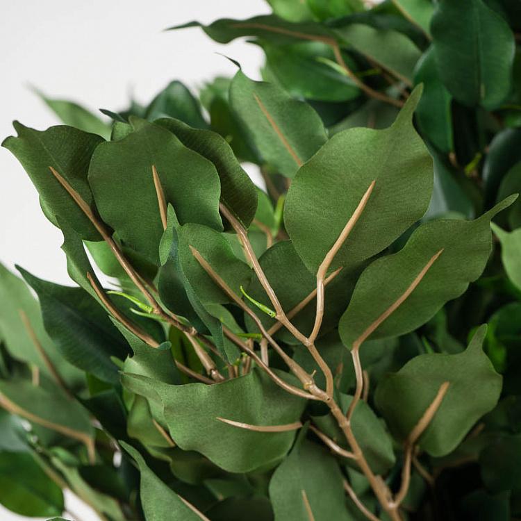 Искусственный фикус Бенджамина Селеста, L Celeste Ficus Benjamina 180 cm