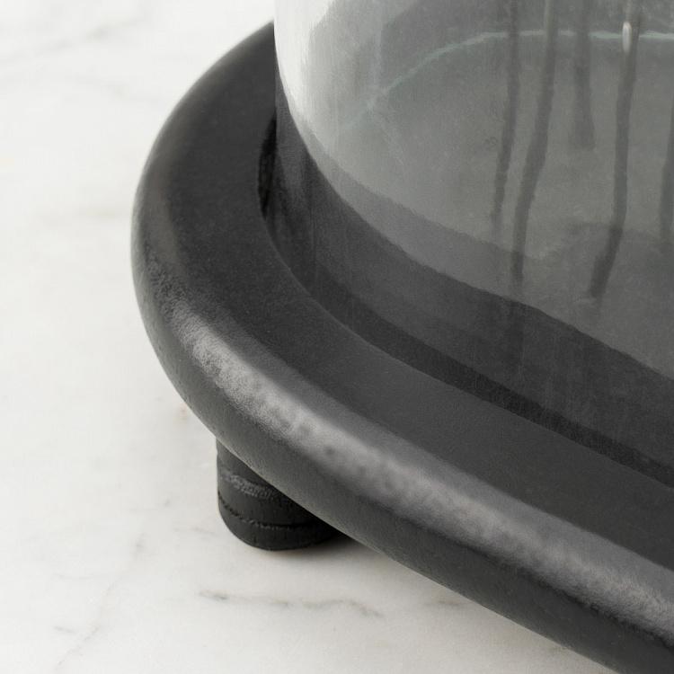 Статуэтка Разноцветные насекомые под стеклянным куполом Glass Dome With Colored Insects