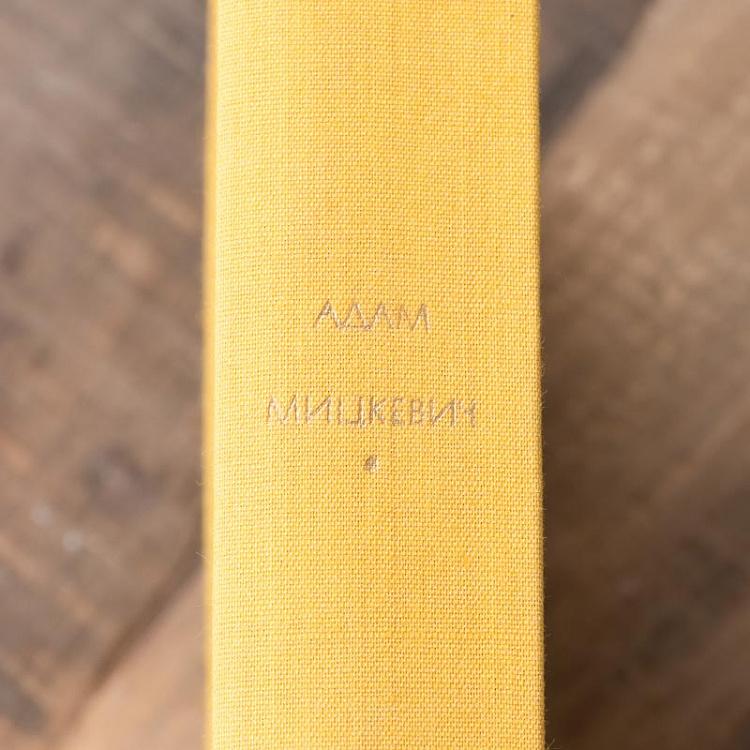 Винтажная книга Библиотека всемирной литературы, том 96. Стихотворения. Поэмы. А. Мицкевич Vintage Book World Literature Library 96