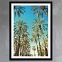 Фото-принт Beverly Hills Palms, Studio Frame