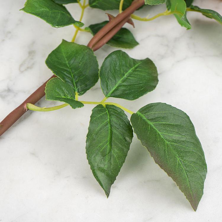 Искусственная роза Дэвид Остин кремово-розовая с лаймовым David Austin Rose Creamy Pink With Lime 50 cm