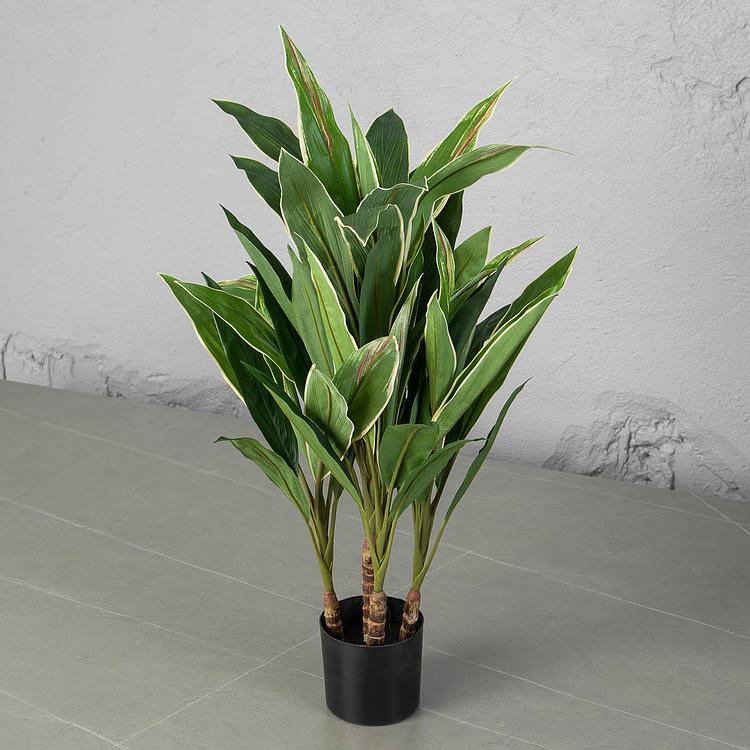 Искусственная Кордилина 5 Stems Cordyline 73 cm