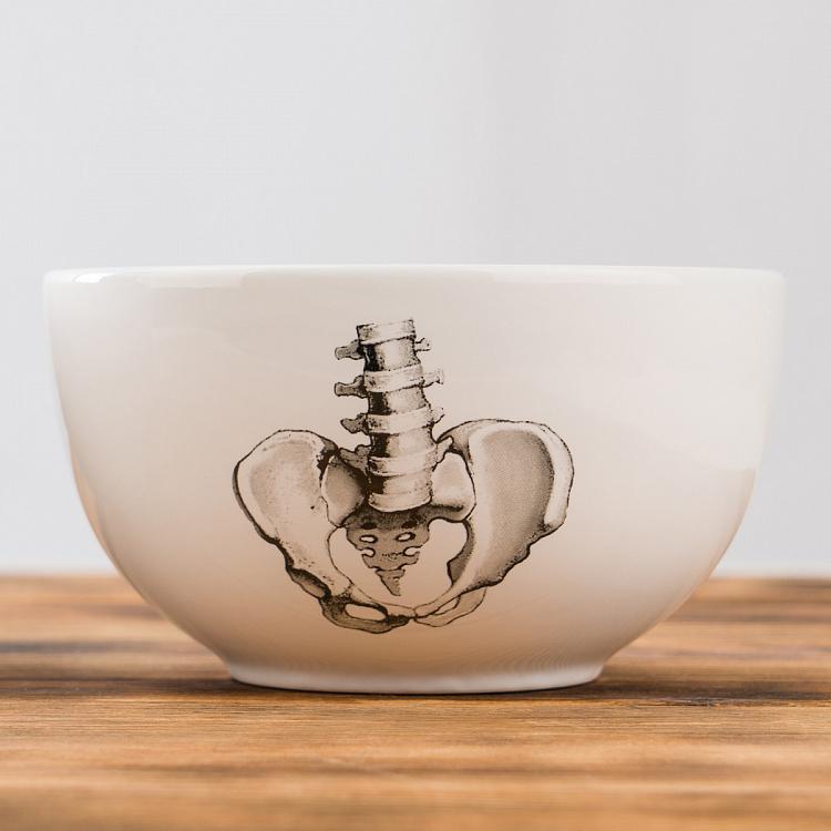 Набор из трёх пиал Естественные науки Set Of 3 Bowls Natural Sciences