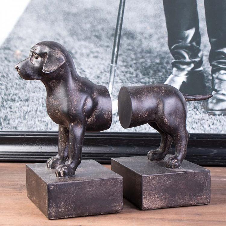 Набор из двух держателей для книг Гончая Book Ends Beagle