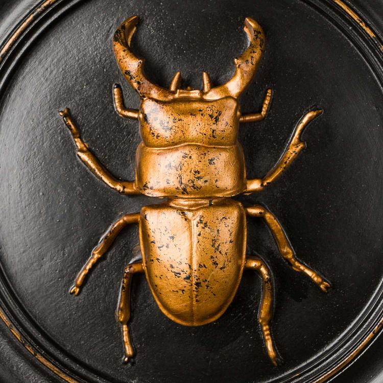 Настенное украшение Жук-олень золотой на чёрном Beetle In Frame Black And Gold