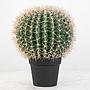 Искусственное растение Barrel Cactus 47 cm