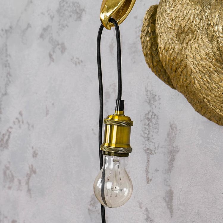 Бра Пеликан Пеликанус Wall Lamp Pelican Pelikanus