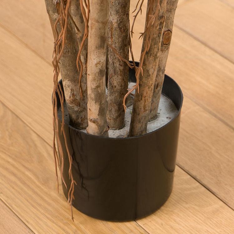 Искусственный фикус Бенджамина карликовый многоствольный Undersized Multi Barreled Ficus Benjamina 100 cm