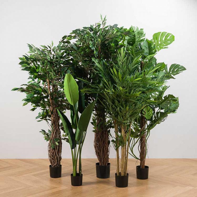 Искусственный фикус Лиана Де люкс, M De Luxe Ficus Liana 210 cm