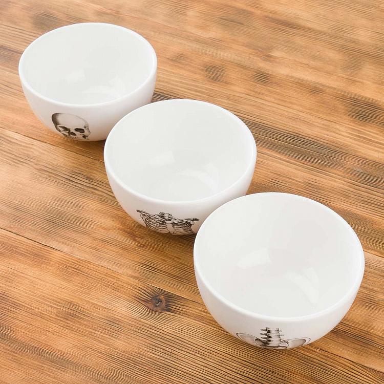 Набор из трёх пиал Естественные науки Set Of 3 Bowls Natural Sciences