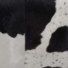 шкура Moo Black And White