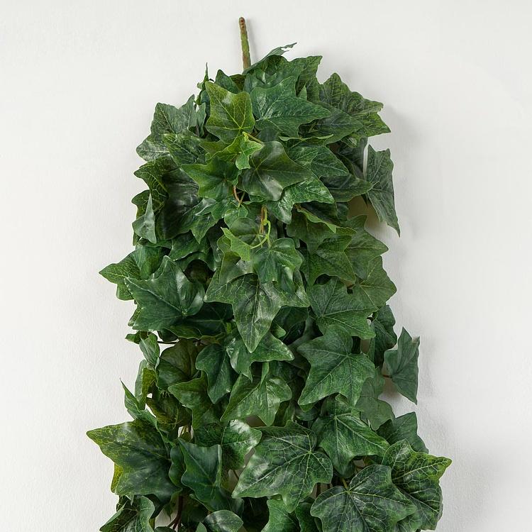 Искусственный английский крупнолистный плющ Биг Олд Темпл зелёный, L Big Old Temple Large Leaved Green English Ivy 170 cm