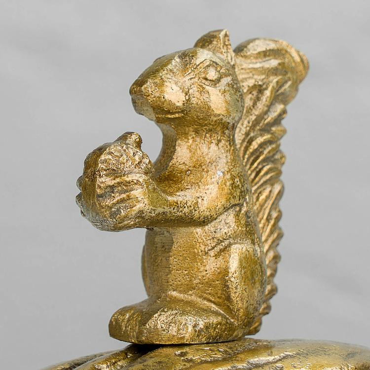 Шкатулка Белка и орех Nut Box With Squirrel