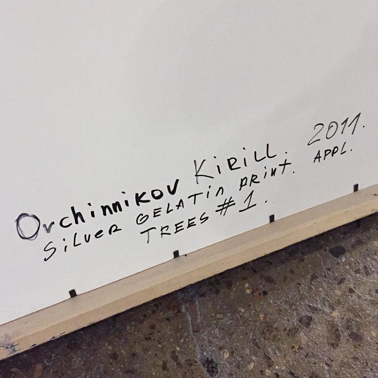 Фотография в раме Деревья 1 Photo Trees 1