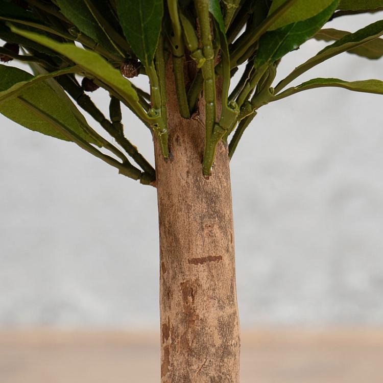 Искусственное лавровое дерево Laurel Ball Tree 60 cm