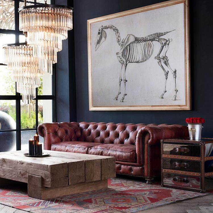 Картина-принт Скелет Лошади Animal Horse Skeleton