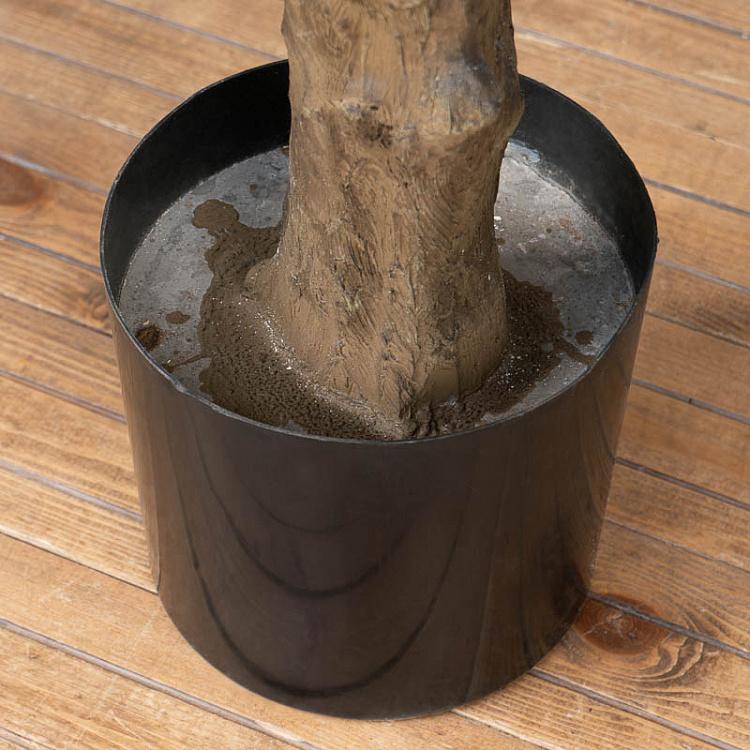 Искусственная олива Джи-Форест с плодами G-Forest Olive With Fruits 210 cm