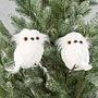 Набор из 2-х ёлочных игрушек Set Of 2 Furry Owls White 11 cm