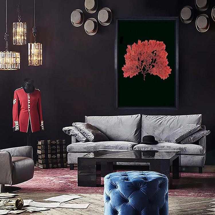 Картина-принт Красное растение, серия Морская жизнь Sealife Red Flat